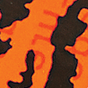 Orange Blk Tiger/Cht/Org Scale