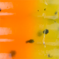 Orange/Chartreuse