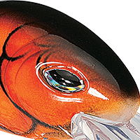 Orange Craw