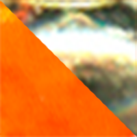 Flo Orange/Hammered Brass