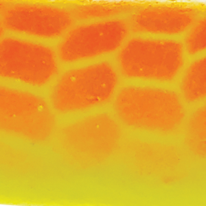 Orange Scale