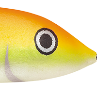 Orange Tiger UV