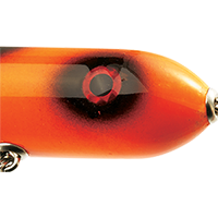 Orange/Black Spots