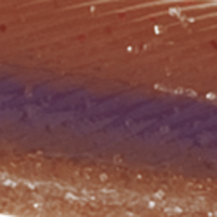 Oxblood Light/Red Flake