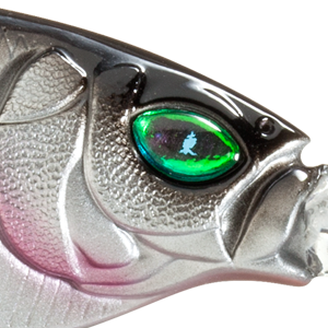 Ozark Shad