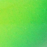 Parakeet