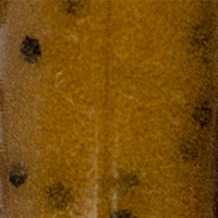 PB Jam