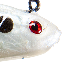 Pearl Spot