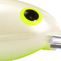 Pearl Chartreuse Belly