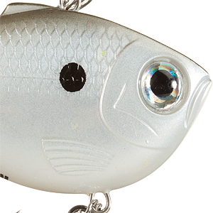 Pearl Gray Shiner