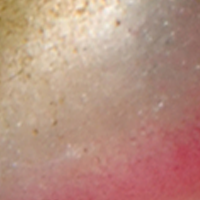 Pearl/Green/Red Chin
