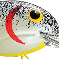 Pearl Splatter Back