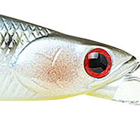 Pearl Threadfin