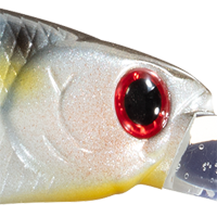 Pearl Threadfin Shad