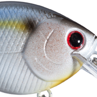 Pearl Threadfin Shad