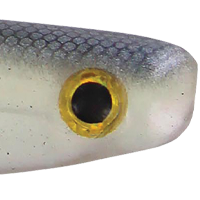 Pearly Shad