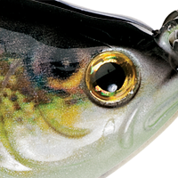Perch