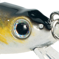 Perch