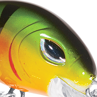 Perch