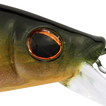 Perch