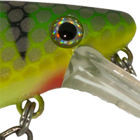 Perch