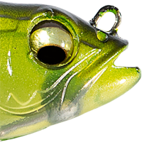 Perch
