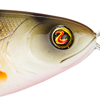 Perch