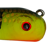Perch