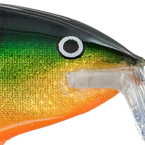 Perch
