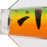 Perch UV