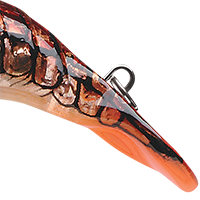 Phantom Brown Crayfish