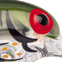 Phantom Green Crayfish