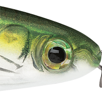 Pilchard