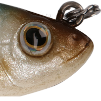 Pinfish