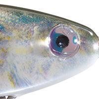 Pin Fish