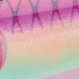Luminous Pink