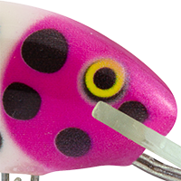 Pink Dalmation