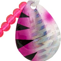 Pink Perch