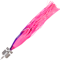 Pink/Purple
