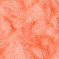 Pink Salmon