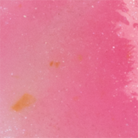 Pink Shad