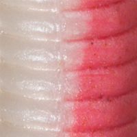 Pink Shiner