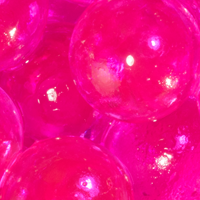 Pink Shrimp