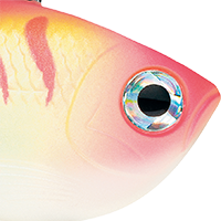 Pink Tiger UV