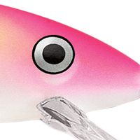 Pink Tiger UV