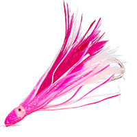 Pink/White
