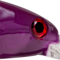 Plasma