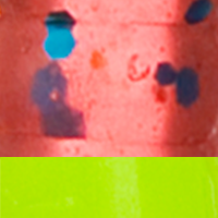 Plum Chartreuse Tail