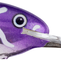 Plum Perfect