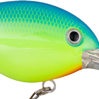 Powder Blue Back Chartreuse